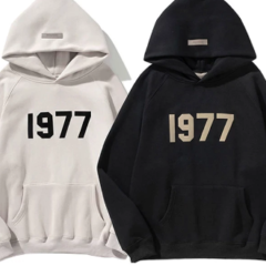 Essentials Hoodie  Hoodie