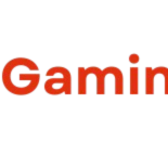 Gaminguy Guy