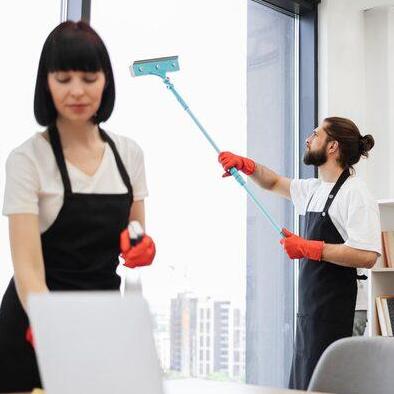 Alpinecleaning Services