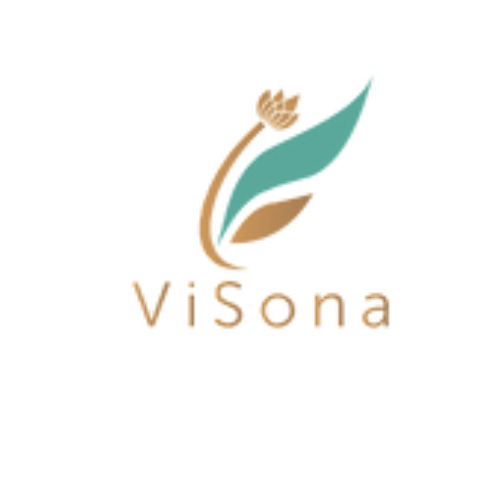 Visona  LLC