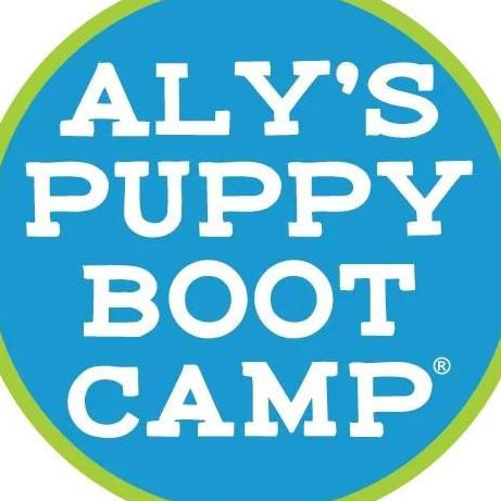 AlysPuppy BootCamp