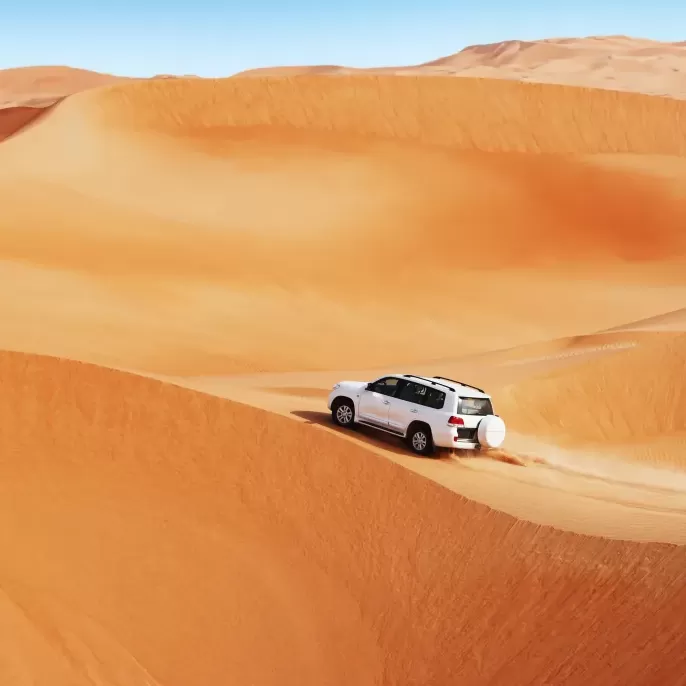 Dubai Desert SafarI