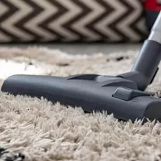 Ever Steam  Carpet