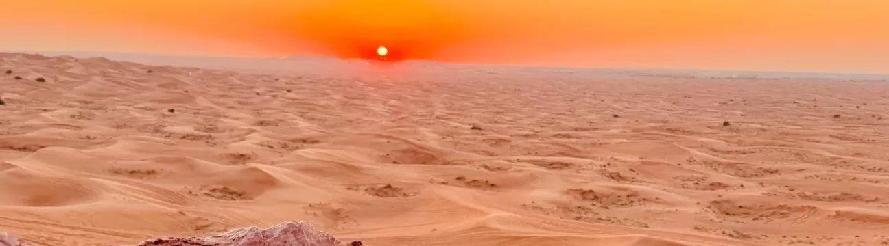 Dubai Desert Safari