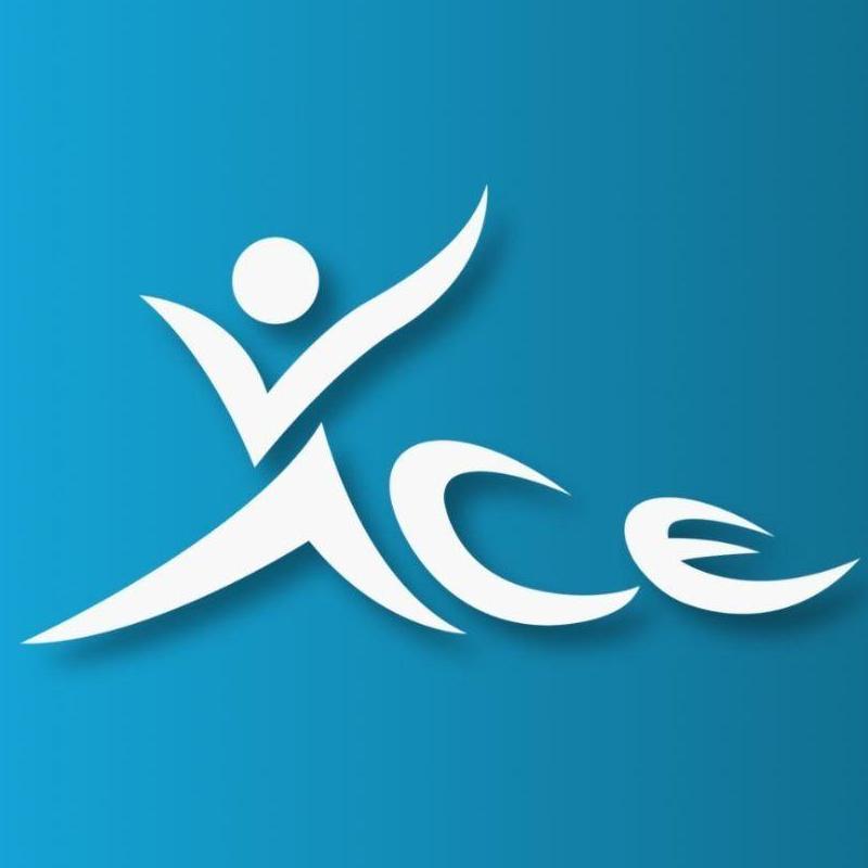 Ace Volleyball Academy