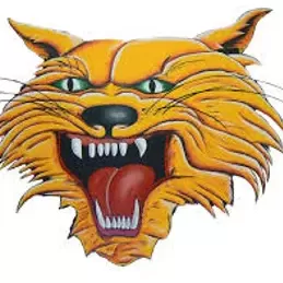 Saraahromni Saraahromni