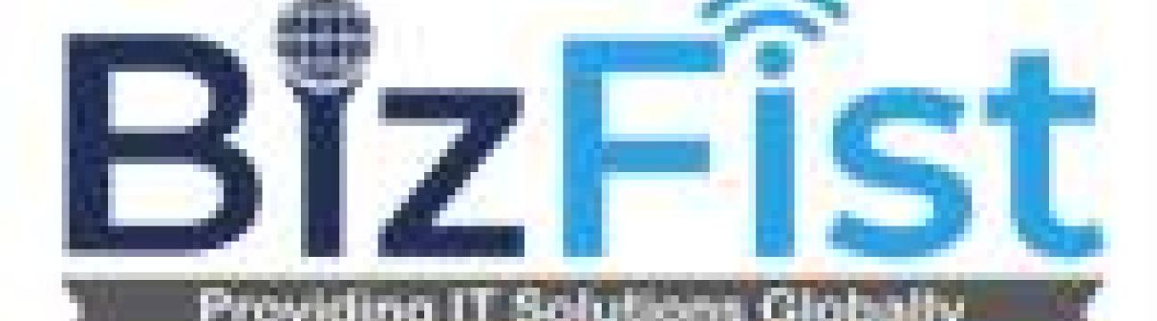 Bizfist IT Solutions