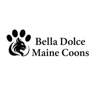 Bella Dolce Maine Coons