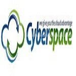 Dedicated web hosting