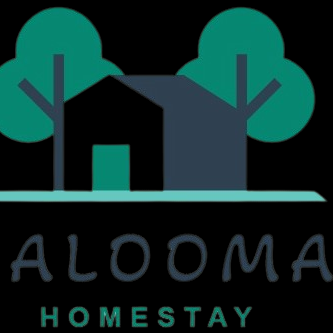 Hotel Channel Manager