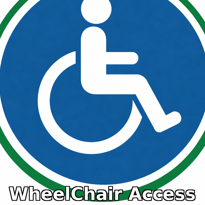 Minicab Wheel Chair Access