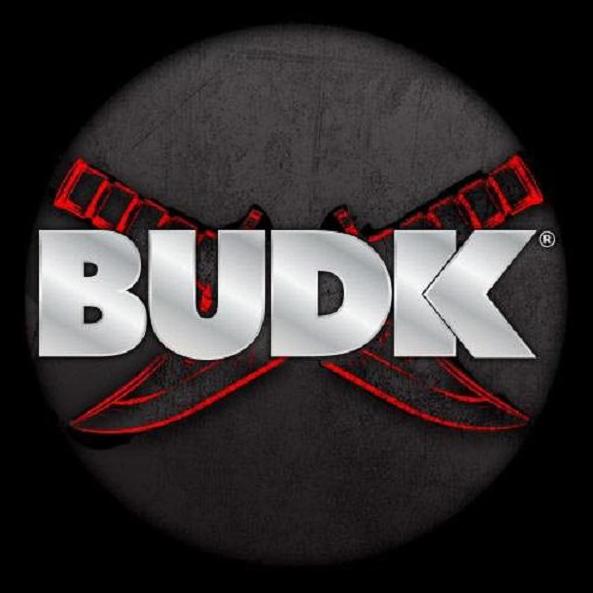 BudK Worldwide  Inc