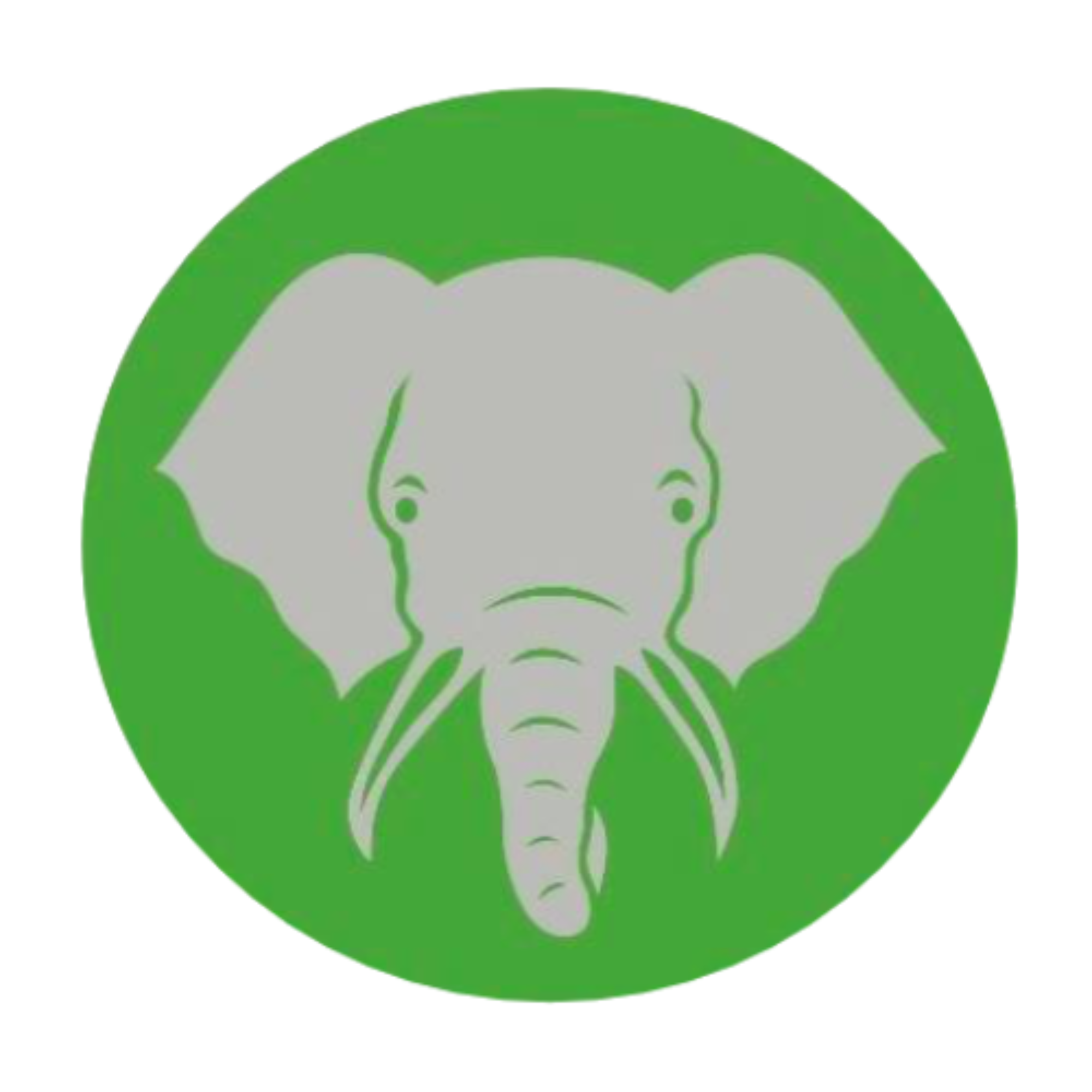 Elephant Trunk Moving Services