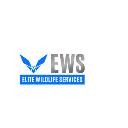 Elite Services
