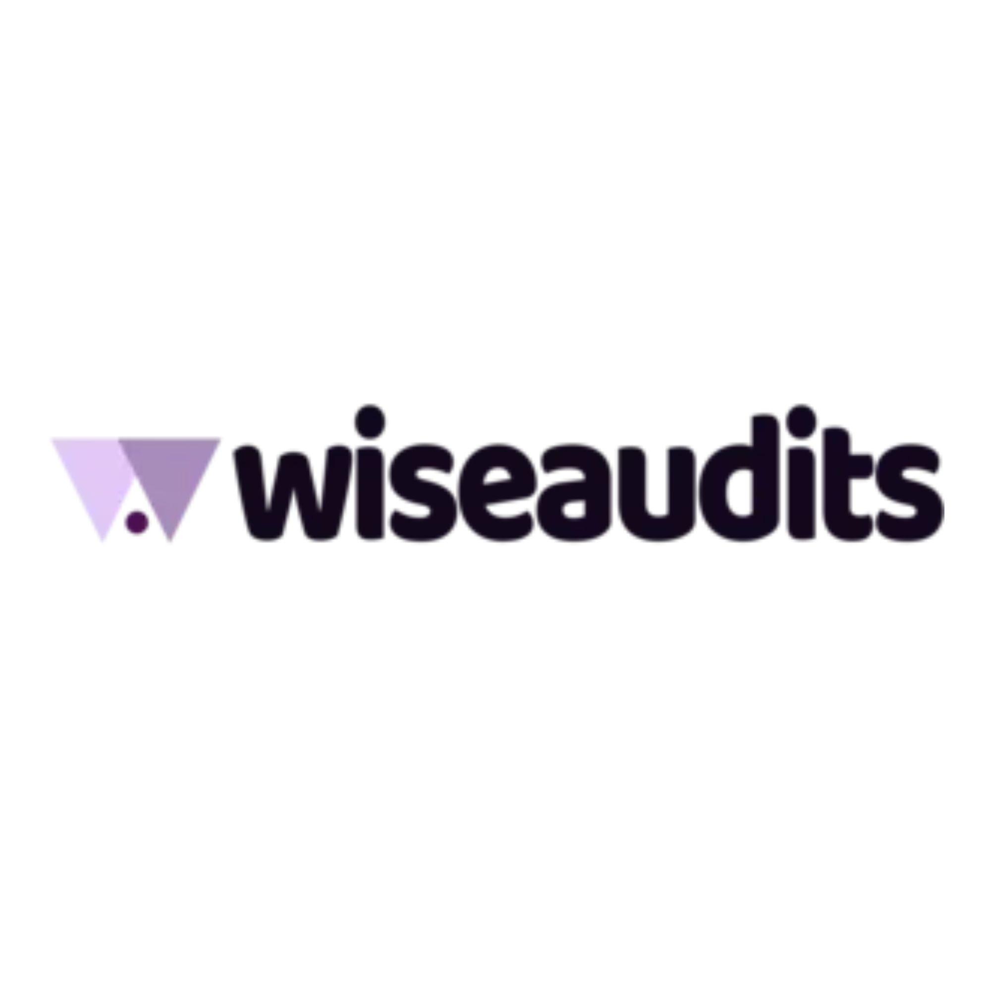 Wise Audits