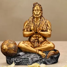 Car  Dashboardaccessories