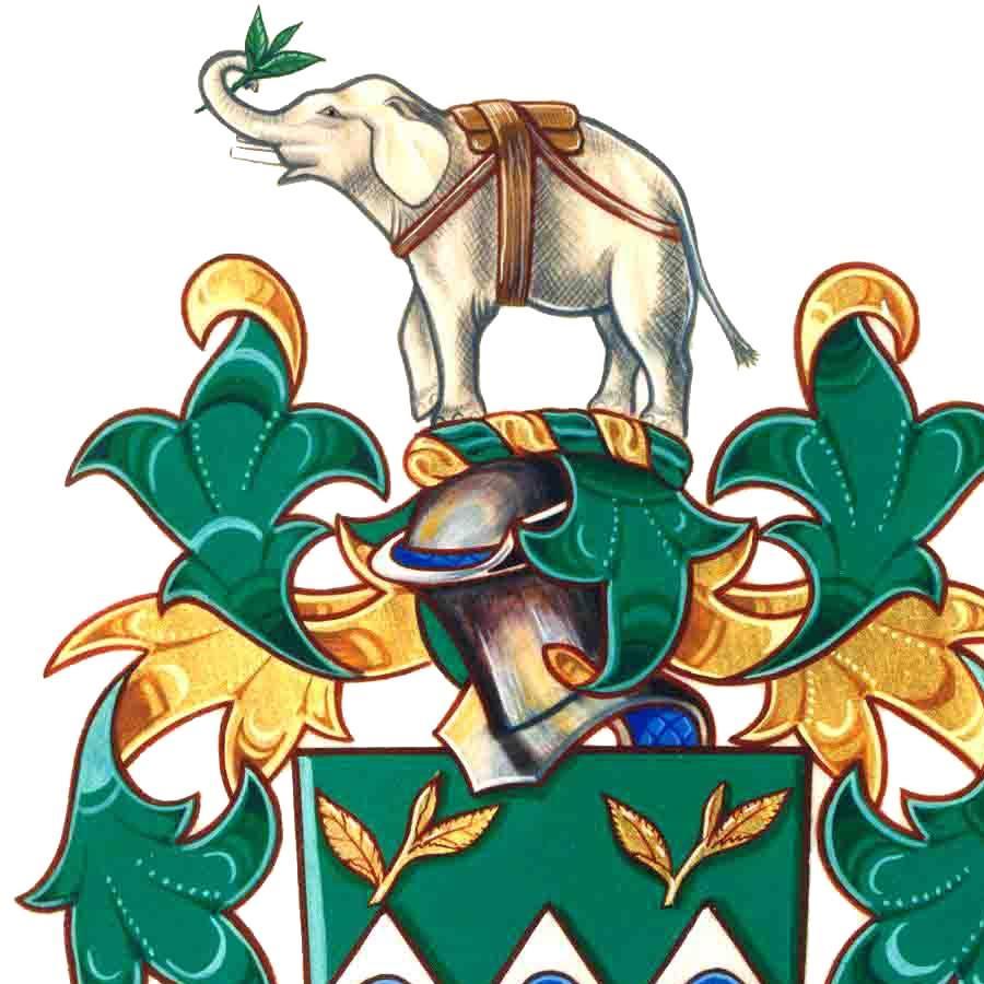 The Assam Valley School