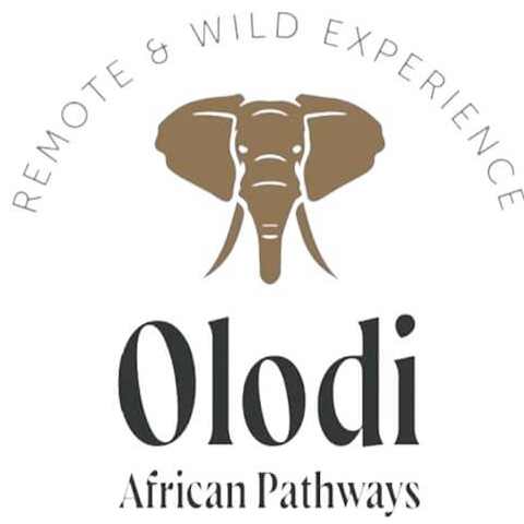 Olodi African Pathways