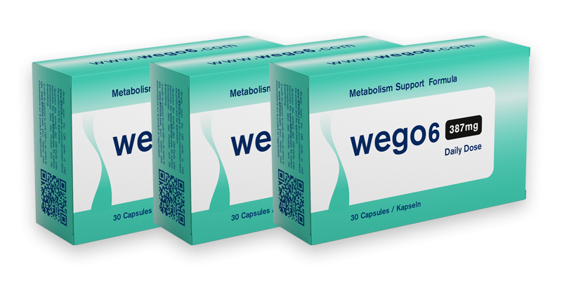 Wego6 Price