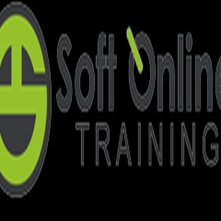 Soft Online Training