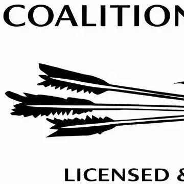 Coalition Construction