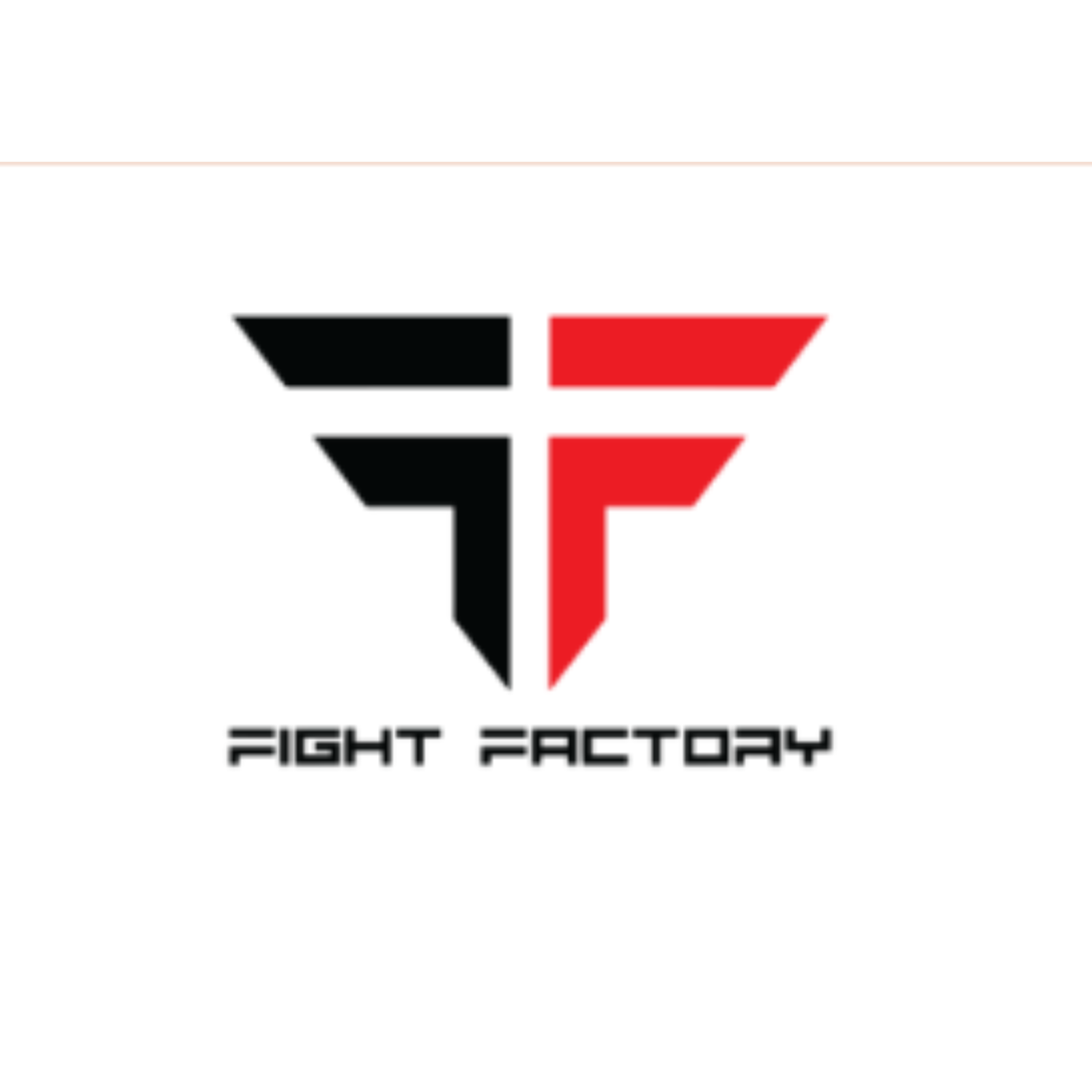 Fight Factory