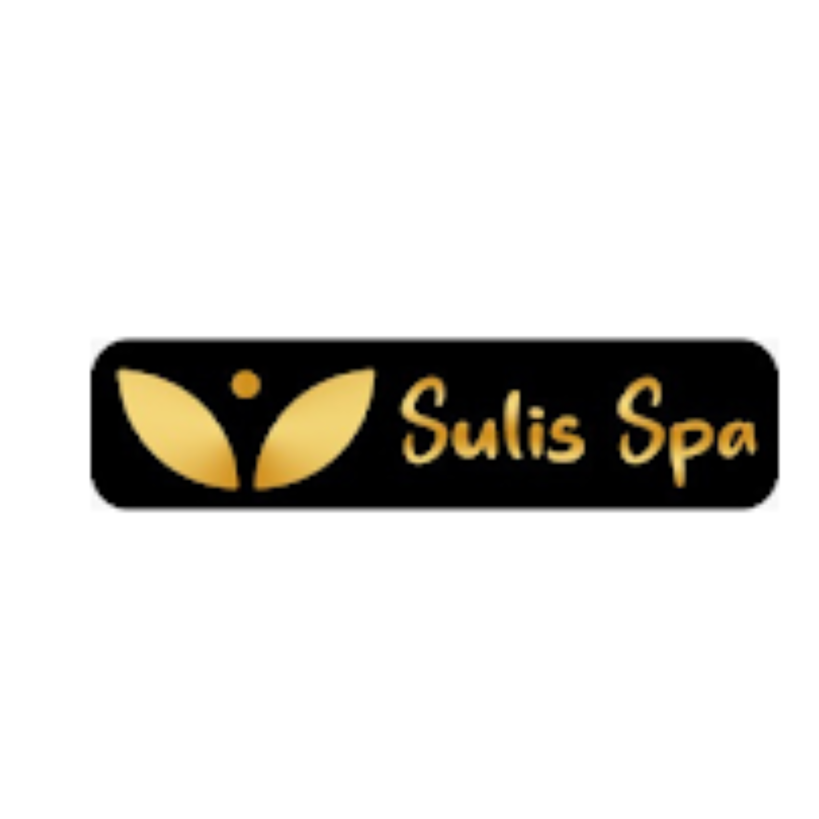 Sulis Spa