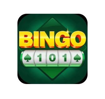 Bingo 101