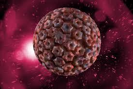 HSV 1 & 2, Varicella Zoster Virus and T ...