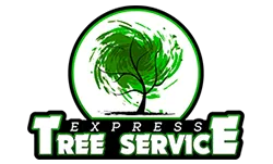 Mdexpresstree Services